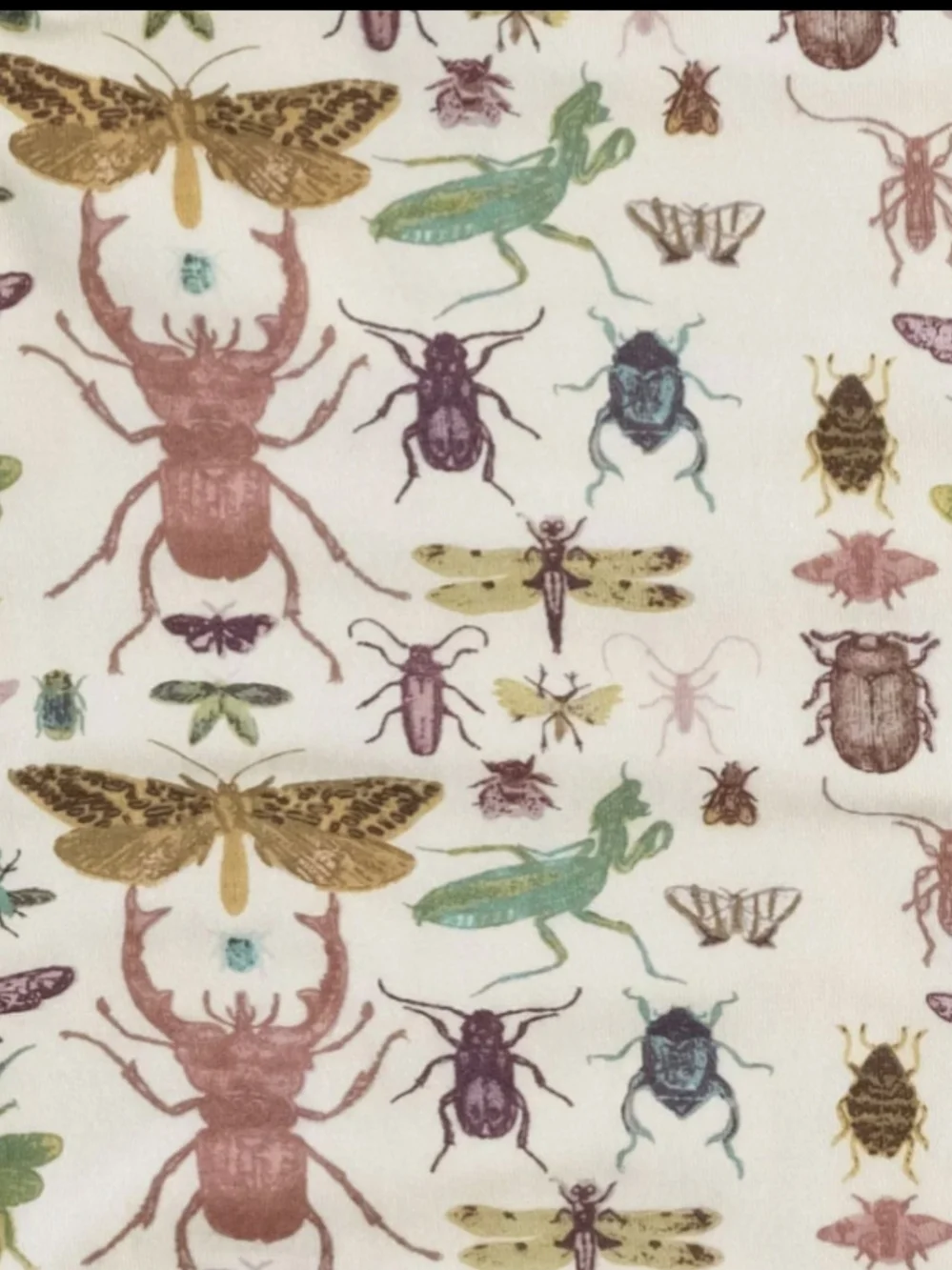 Kate Quinn 2024 insects quilt and crib sheet modal